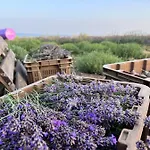 펜션 Casa Laggiu 그라돌리