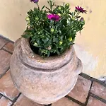 펜션 Casa Laggiu