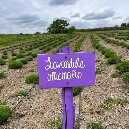 Casa Laggiu בית נופש