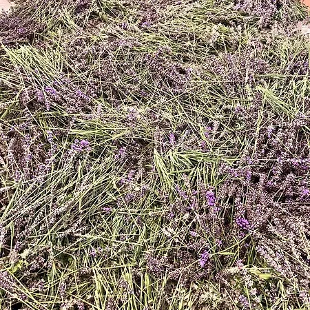 Nyaraló Casa Laggiu *