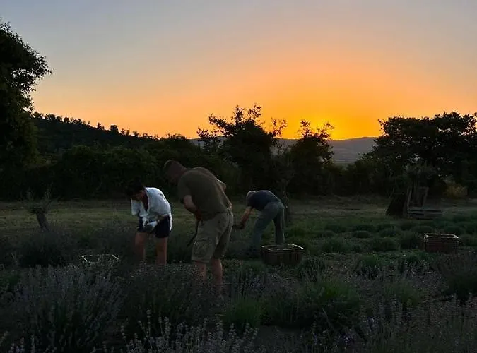 Casa Laggiu * Gradoli
