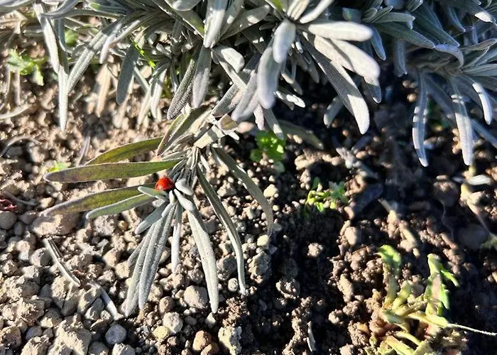 Casa Laggiu Prázdninový dům Gradoli