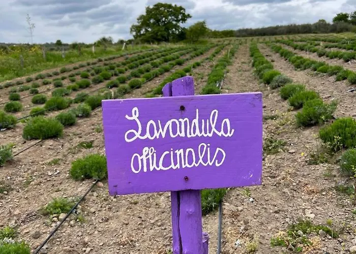 Casa Laggiu Prázdninový dům